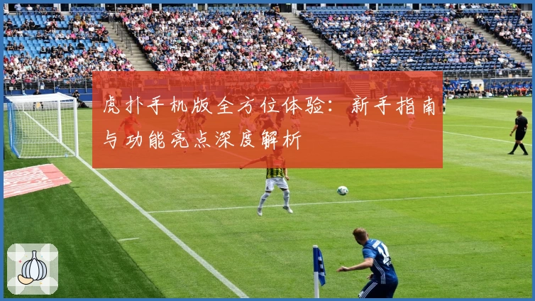 虎扑手机版全方位体验:新手指南与功能亮点深度解析