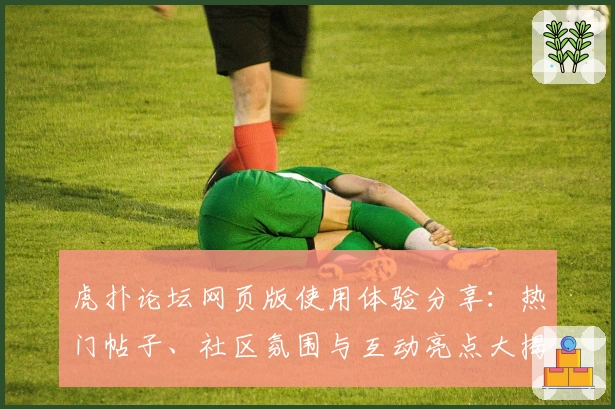 虎扑论坛网页版使用体验分享：热门帖子、社区氛围与互动亮点大揭秘