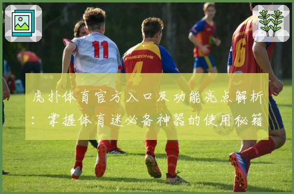 虎扑体育官方入口及功能亮点解析:掌握体育迷必备神器的使用秘籍