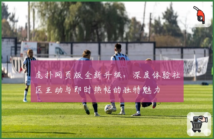 虎扑网页版全新升级，深度体验社区互动与即时热帖的独特魅力